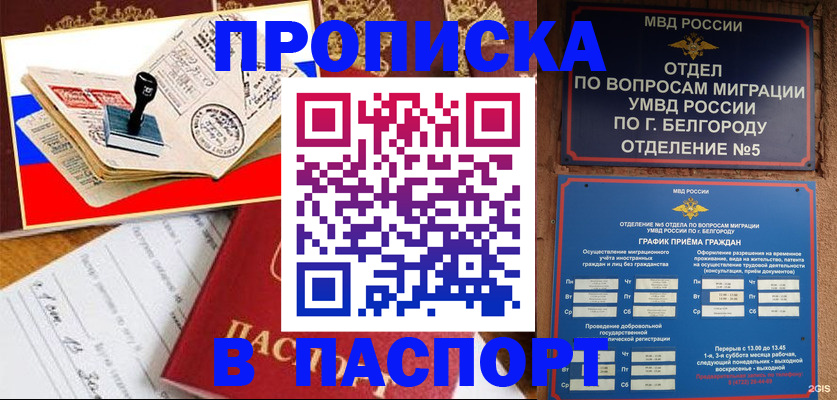 купить прописку в Болотном
